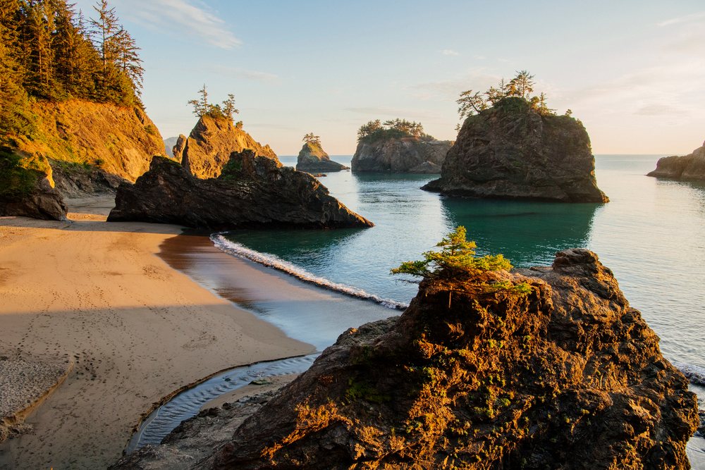 Sunlit rock formations with trees and sandy beach, showing a serene coastal landscape with ocean waves, Boardman State Park, Oregon, USA.