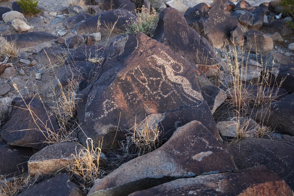 Petroglyphs etched on weathered boulders surrounded by dry grass in a sunlit New Mexico desert landscape at three Rivers Petroglyph Site, USA.