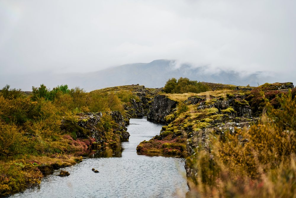 A calm stream flows through moss-covered rock formations and autumn shrubs in a foggy Icelandic landscape with distant mountains, Iceland.