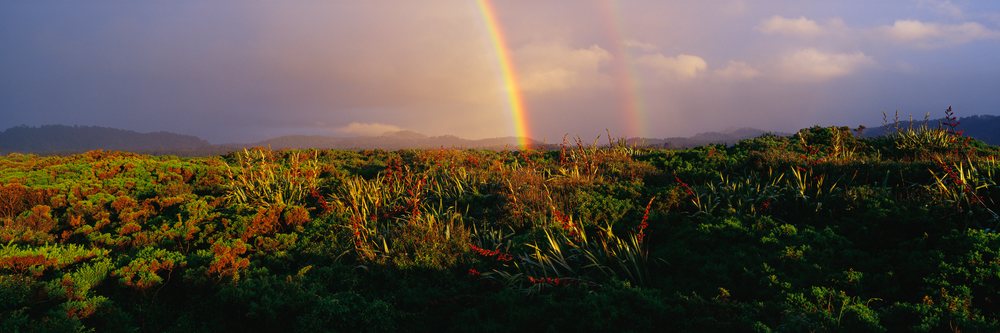 Double rainbow arcs over lush green shrubland with red flowers and mountains under a cloudy sky in a natural outdoor setting.