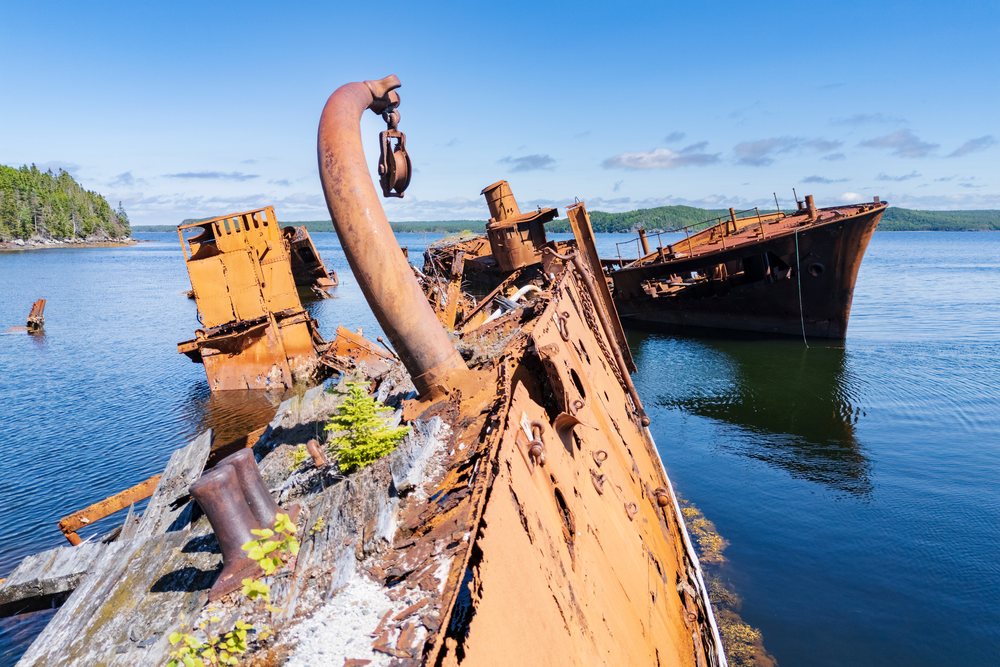 Rusted remains of HMS Calypso shipwreck protrude from water near the forested coastline on a sunny day, Landscape, Wildlife, Lifestyle, Embree, Newfoundland & Labrador, Canada.