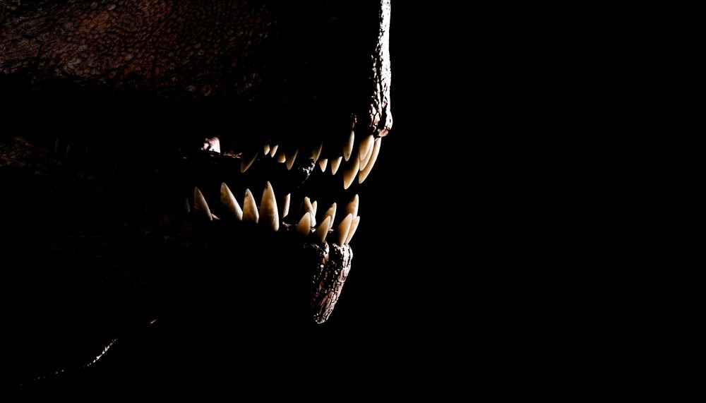 Close-up of a T-Rex mouth showing sharp teeth in the dark