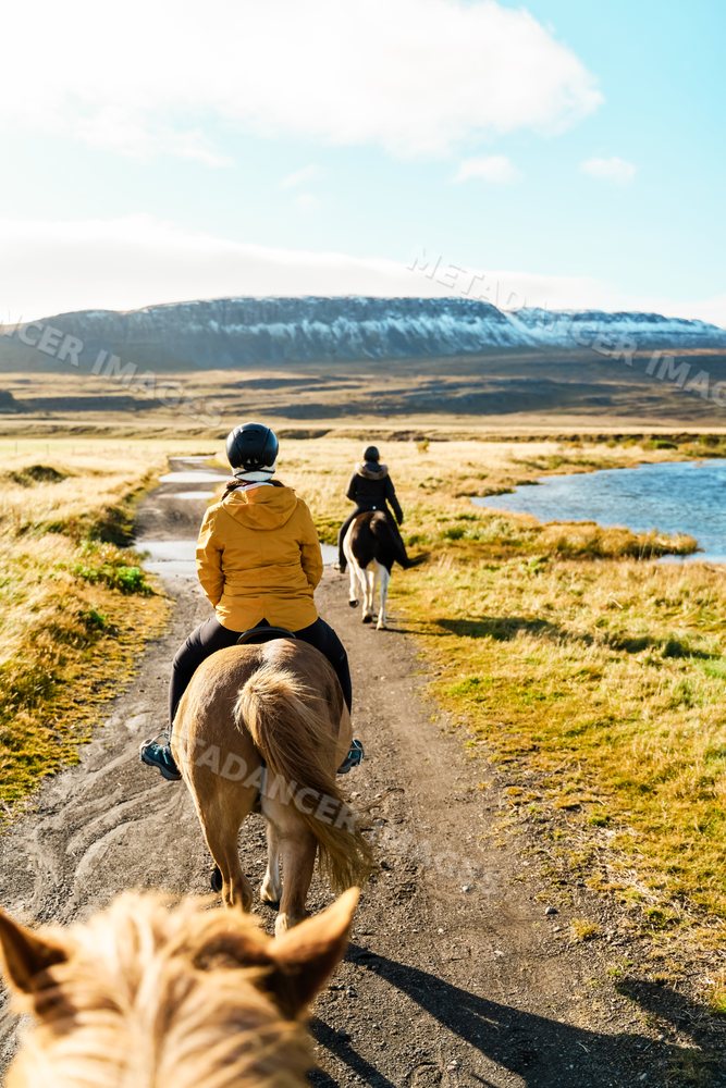 White People riding horses on a scenic dirt trail