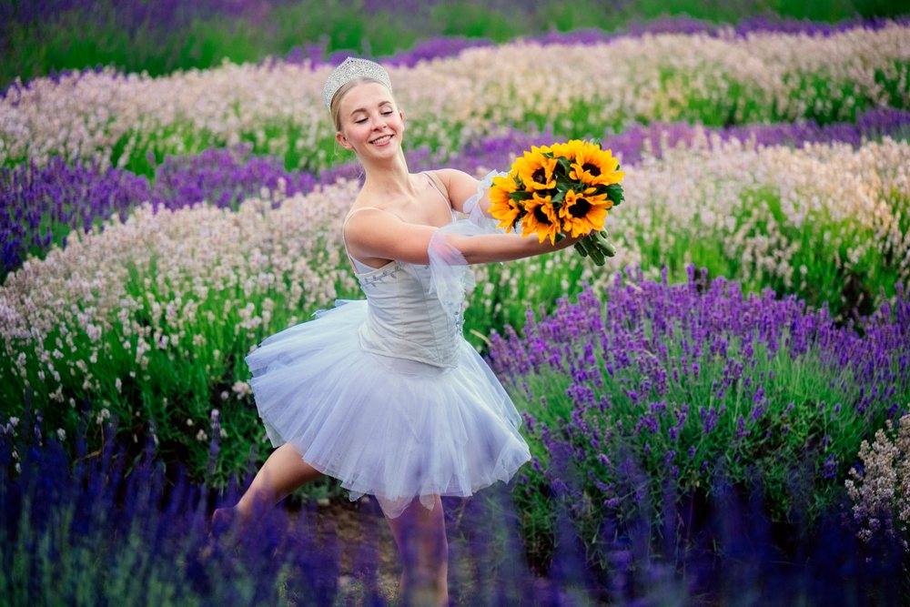 A ballerina wearing a white tutu and a tiara joyfully dances in a lavender flower field holding a bouquet of sunflowers, WA, USA.