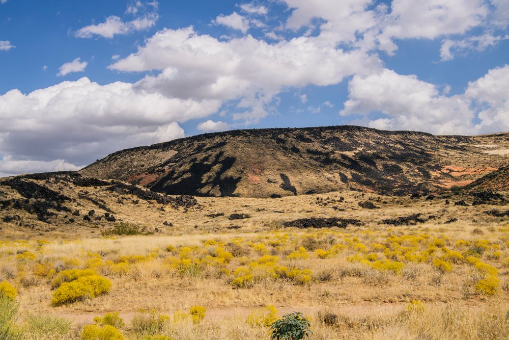 Desert landscape with yellow wildflowers and rocky hills beneath a cloudy blue sky, Snow Canyon, red Cliffs Desert, Utah, USA.