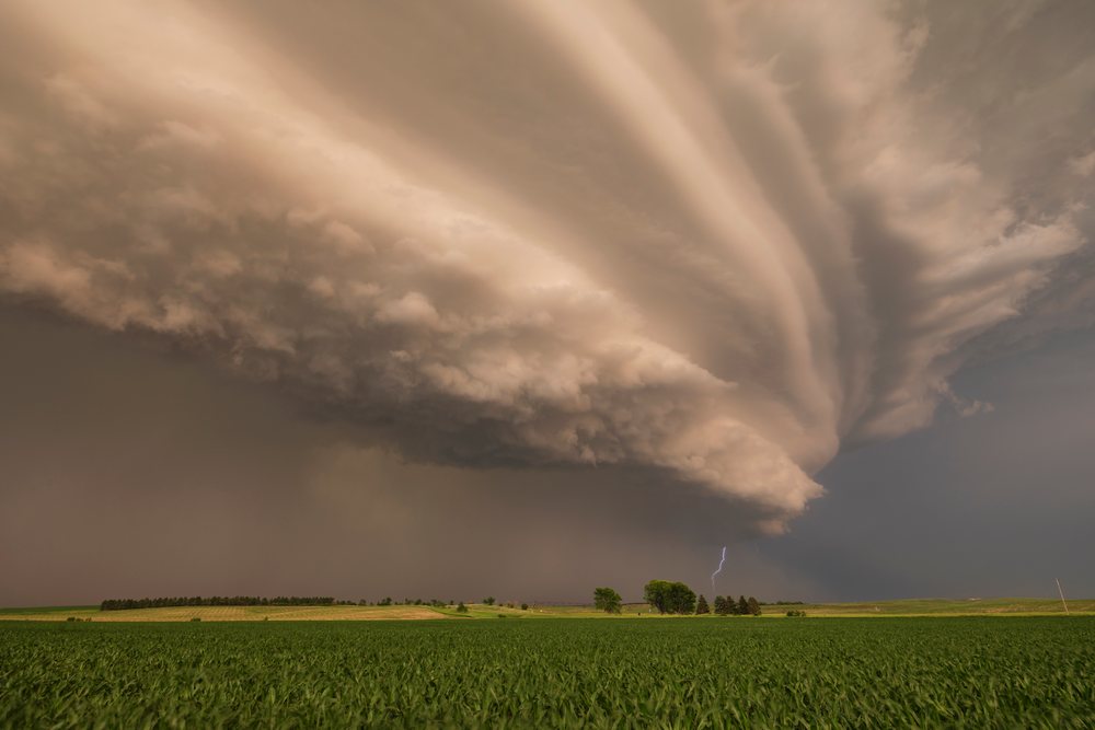 Large Supercell storm with tornado warning produces a lightning strike over a green field, at Sunset, Ord, Nebraska, USA.
