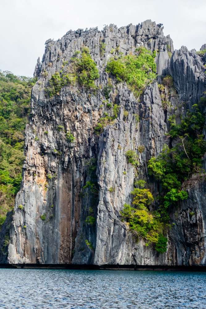 Limestone cliff with tropical vegetation rising from blue sea water, Philippines.