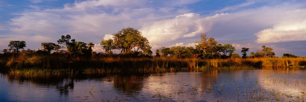 Calm lagoon water reflects trees and clouds during a peaceful sunset under a blue sky.