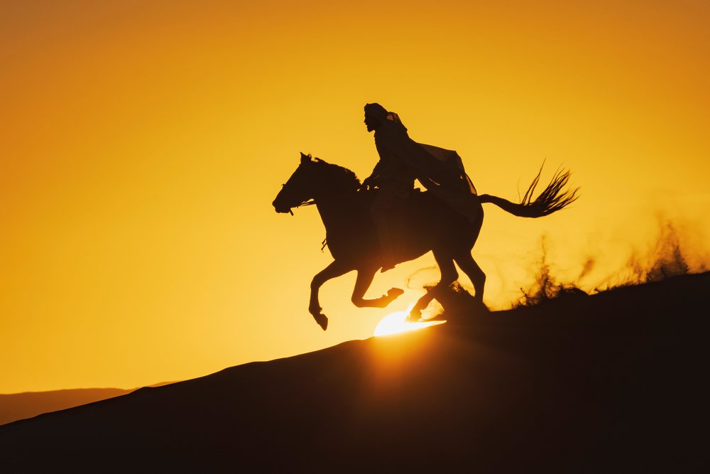 Horseman rides a horse silhouetted against the Sunset on Desert dunes, Landscape, Lifestyle, Merzouga, Errachidia Province, Morocco.