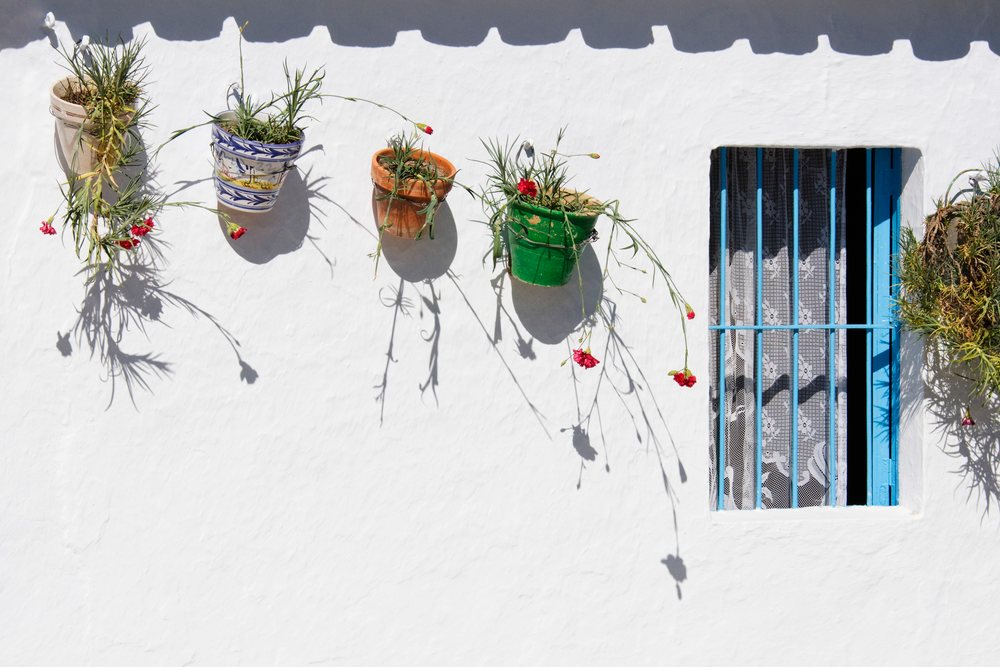 Flower pots with red flowers hanging on a white wall beside a blue barred window, Andalusia, Spain.