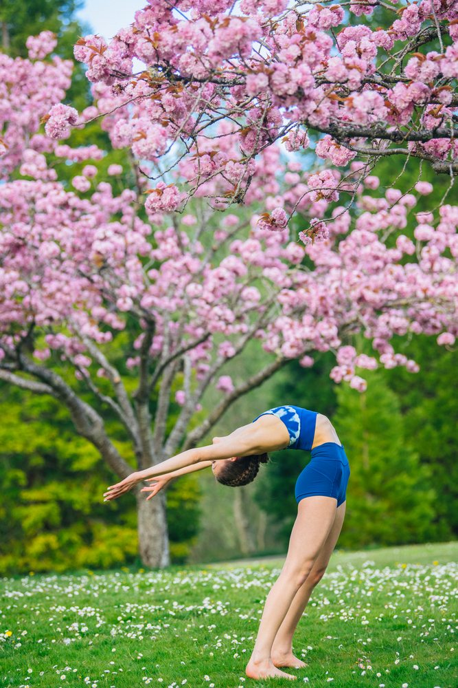 Woman performs a yoga backbend outdoors on green grass near a flowering pink blossom tree in spring, USA.