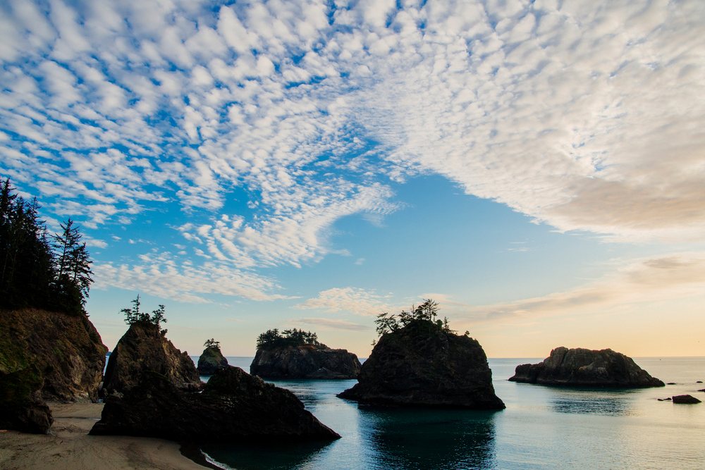 Rock formations and trees rise from calm ocean water along the coastline of Boardman State Park under a partly cloudy sky, Oregon, USA.