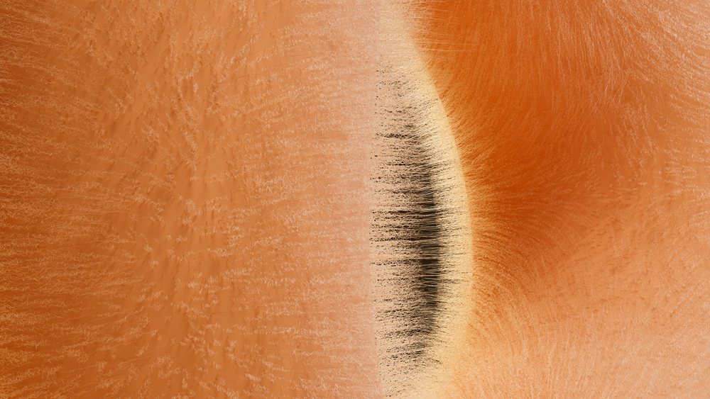 Abstract digital illustration with flowing orange and black lines forming a symmetrical textured design.