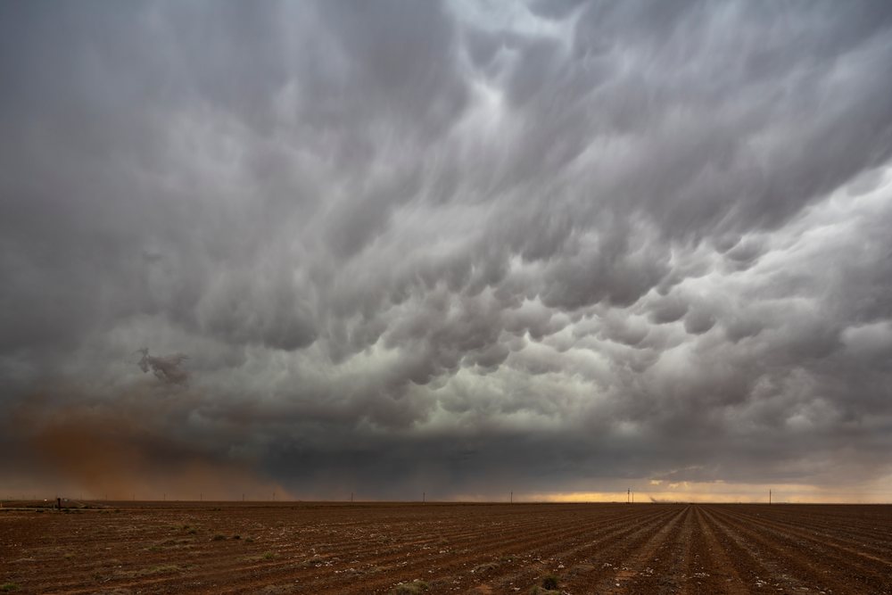 Storm clouds recede over a Harvested Cotton Field with cotton remnants and a distant dust cloud, USA under a dramatic stormy sky, Storm Chasing, Weather, Environment, Floydada, Texas.