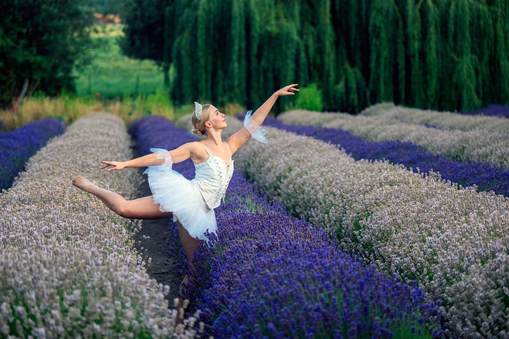 A dancer in a white costume poses gracefully among rows of lavender flowers in an outdoor field, WA, USA.