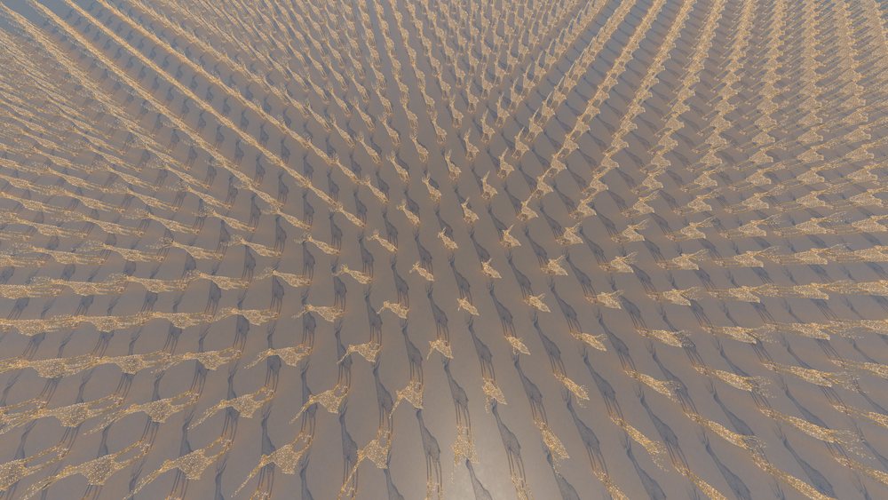 Herd of giraffes walking through a savanna casting long shadows in golden sunlight.