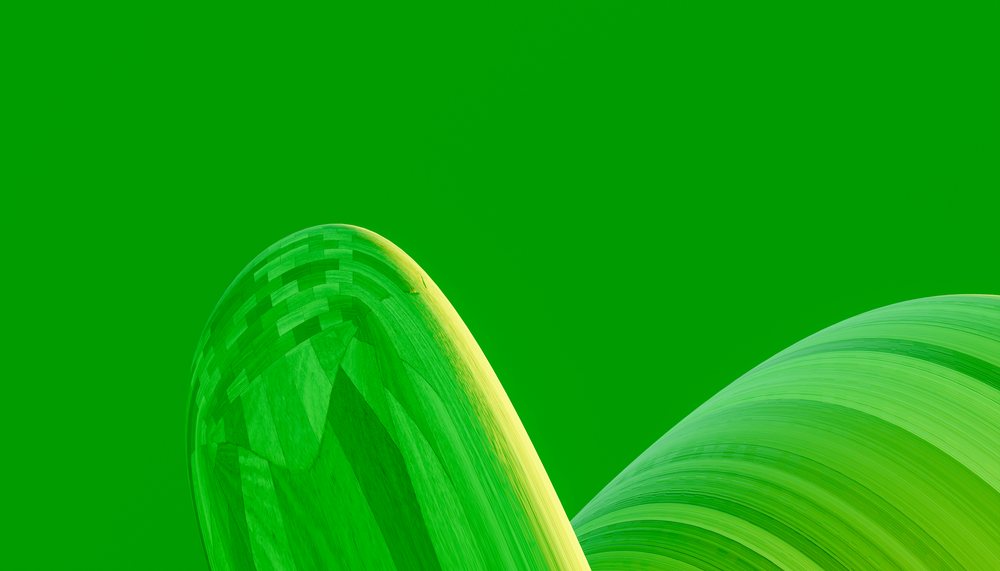 Abstract curved wooden shapes with vibrant green wood textures on a bright green background.