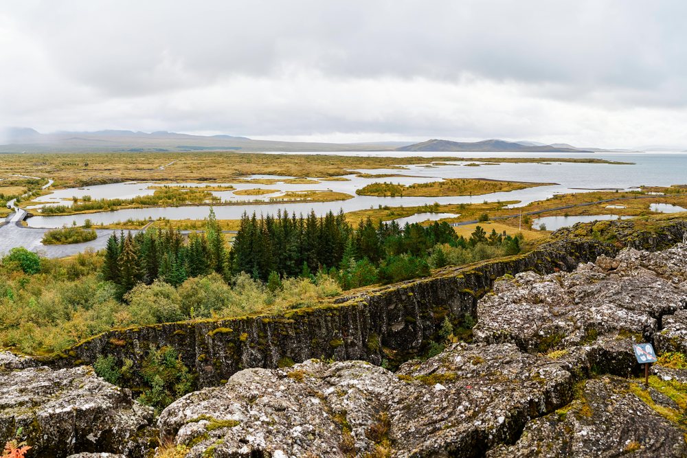 Scenic view of volcanic rock formations, forest, and river islands in a natural landscape in Iceland under a cloudy sky.