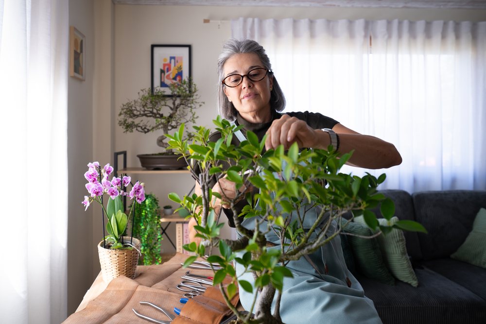 Woman prunes a bonsai tree indoors with orchids and gardening tools on the table in a living room setting, Spain.