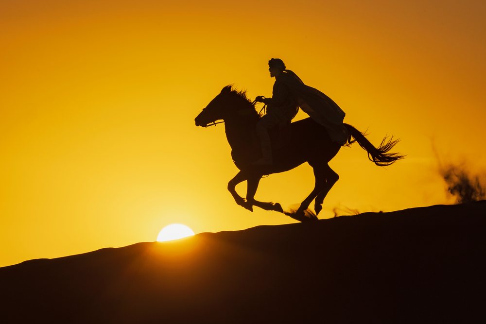 Berber Horseman rides a horse silhouetted against the Sunset over sand dunes, Landscape, Lifestyle, Merzouga, Errachidia Province, Morocco.