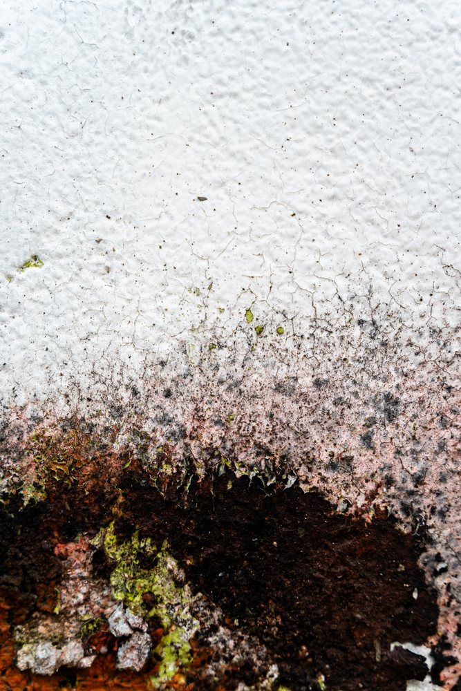 Weathered and cracked white painted surface outdoors with black and brown stains and green lichen texture, abstract texture, background, wallpaper, Spain.