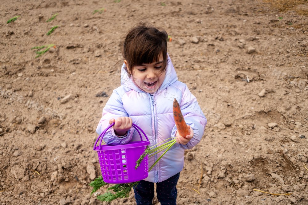 Young white girl joyfully holding a carrot and basket