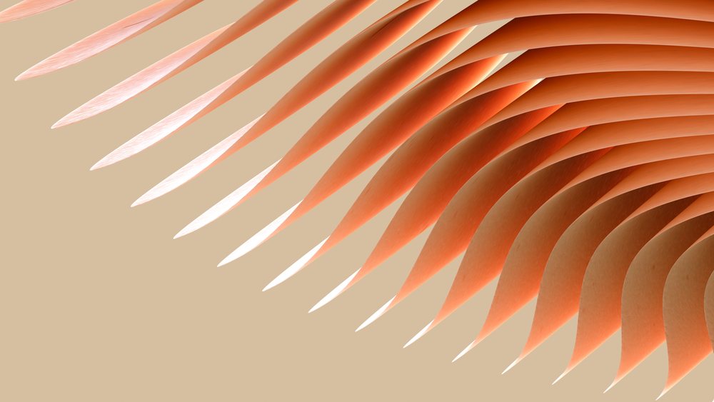 Abstract orange curved shapes create a layered pattern on a smooth beige background.
