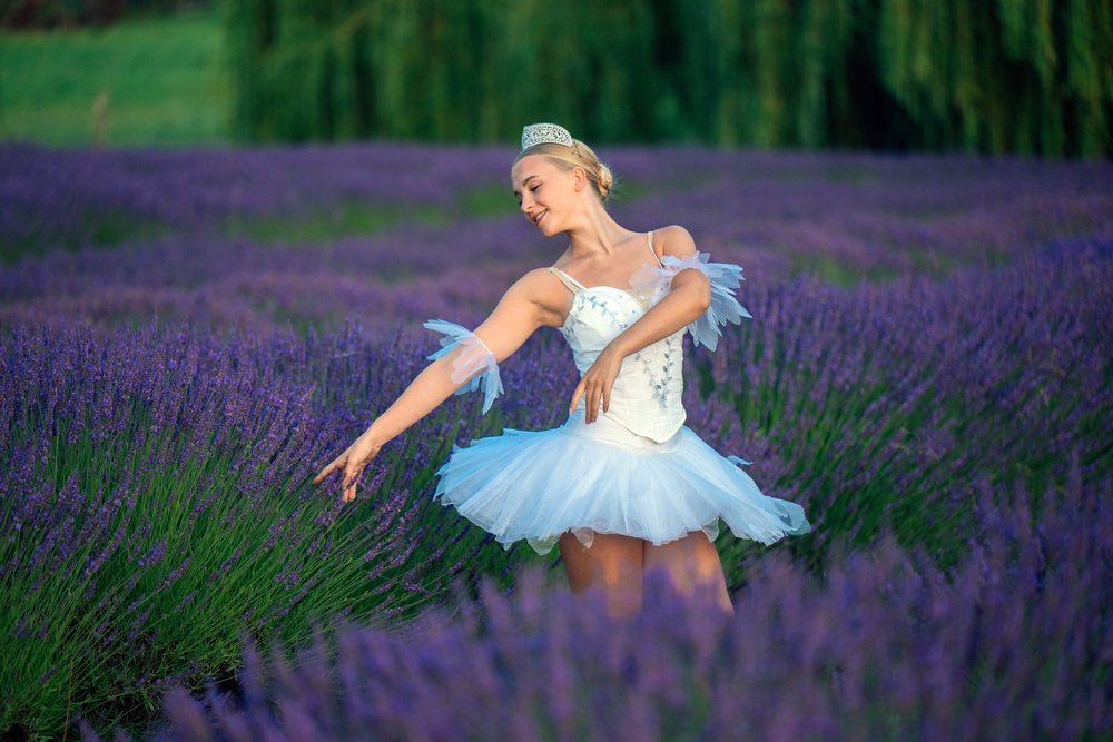 A ballet dancer in a white tutu and tiara gracefully poses among blooming lavender fields, WA, USA.