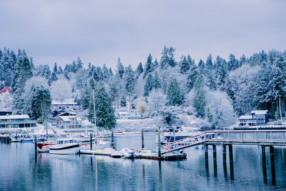 Boats docked at a marina by snow-covered pine trees and houses on a calm lake in winter in Washington, USA.