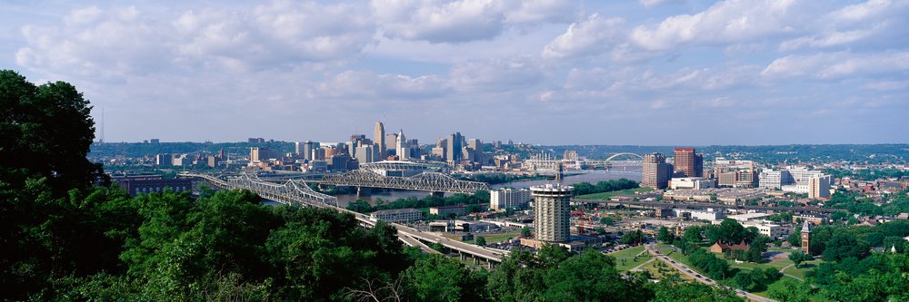 View of a city skyline with bridges spanning a river, framed by trees under a partly cloudy sky.