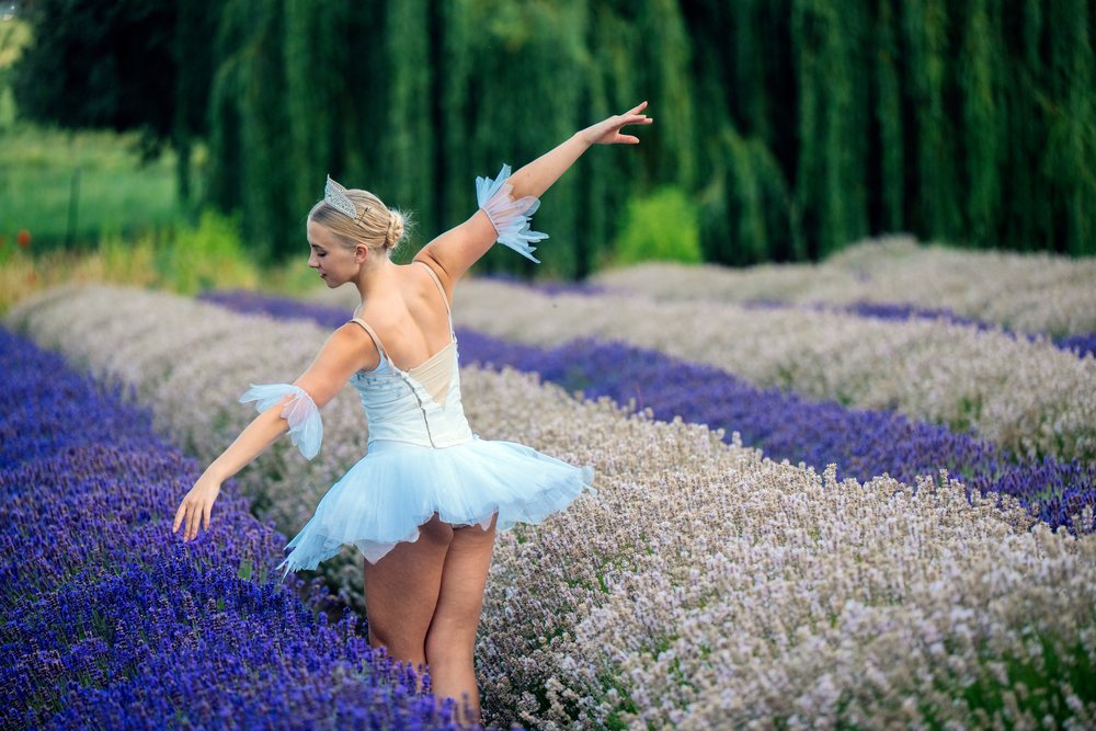 A ballerina in a white tutu dances gracefully in a lavender and flower field, WA, USA.