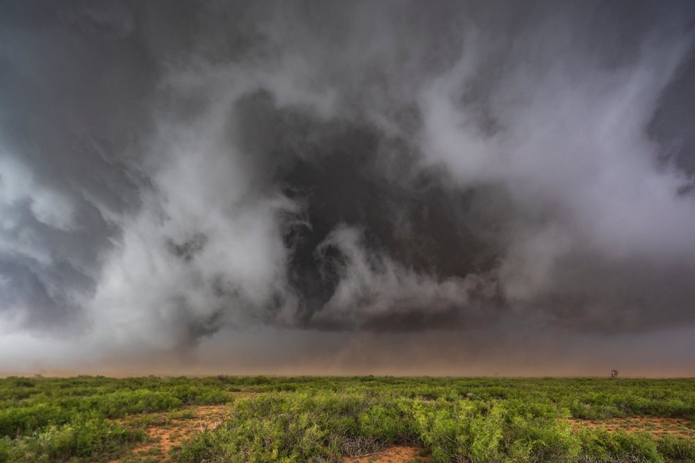 Storm clouds and a dust cloud gather over green shrubs on the plains during storm chasing, Levelland, Texas, USA.