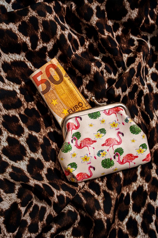 Coin purse with flamingo, leaf, and flower pattern holding a folded 50 euro banknote on leopard print fabric, Studio Shot.