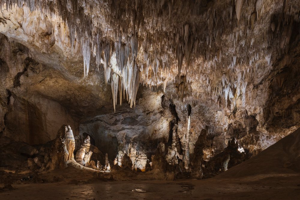 Interior of Carlsbad Caverns in New Mexico showing stalactites, stalagmites, and large limestone rock formations in a cavernous underground chamber with rocky floor, landscape, wildlife, Carlasbad Caverns.