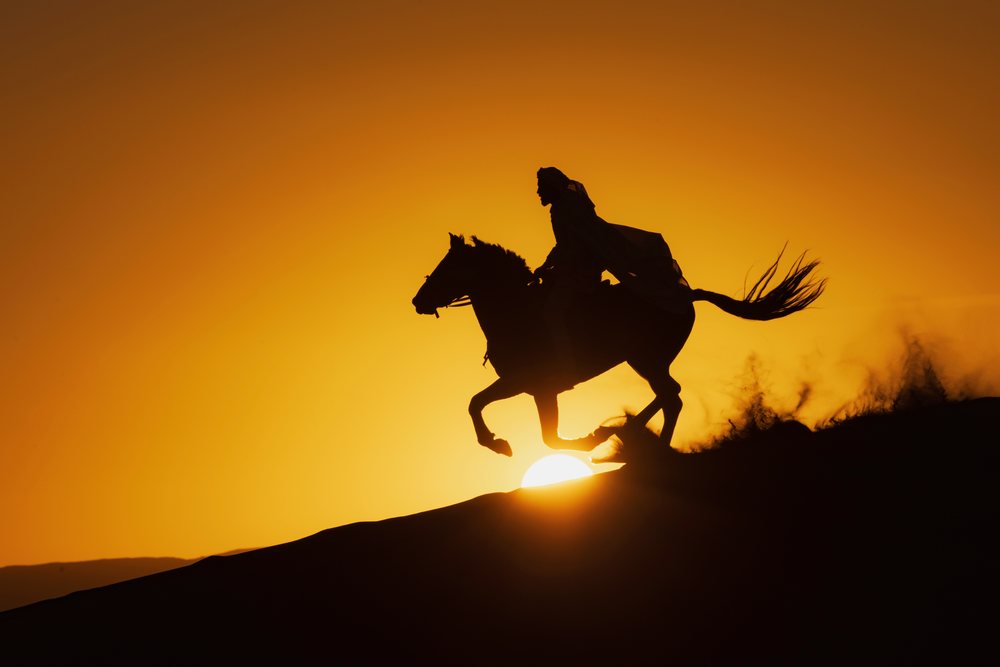 Horseman rides his horse silhouetted against desert Dunes at Sunset, Landscape, Lifestyle, Merzouga, Errachidia Province, Morocco.