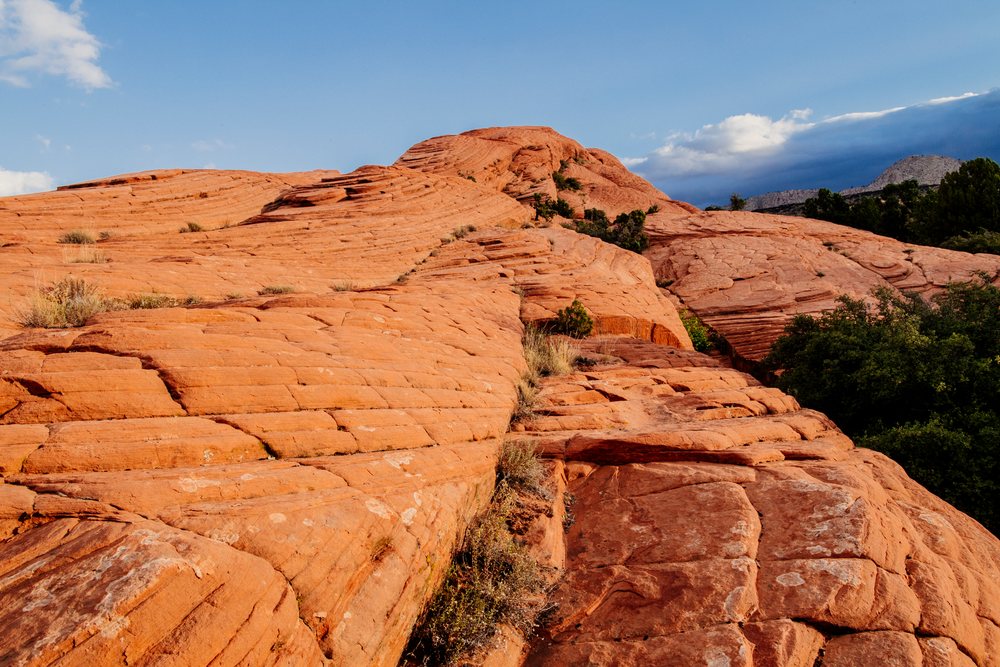Red sandstone rock formation with layered surfaces in red Cliffs Desert State Park under a sky with clouds and surrounding shrubs and trees, Snow Canyon, Utah, USA.