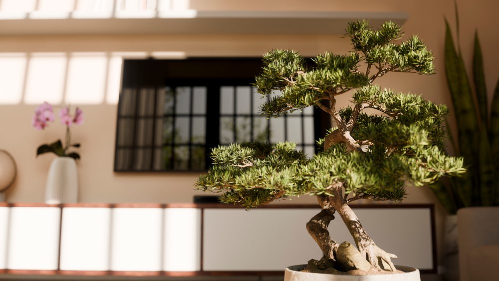 Bonsai tree in pot illuminated by natural light beside an orchid flower in a vase on a sideboard in a modern living room.