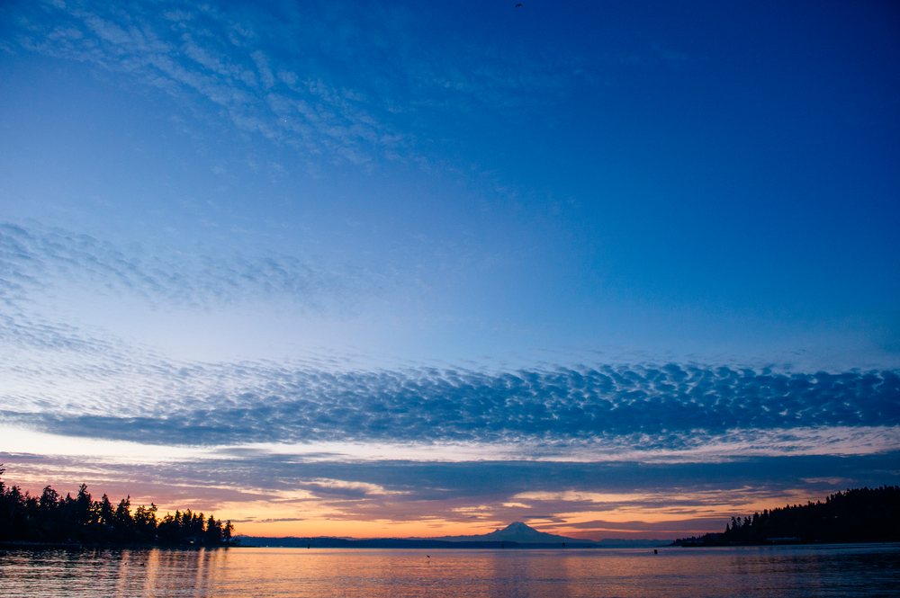 Sunset over water with silhouetted trees and Mount Rainier visible, Seattle Ferry, Bainbridge Island, WA, USA.