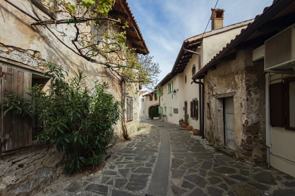 Narrow cobblestone street lined with old stone buildings and green plants in the historic village of, landscape, cityscape, Šmartno, Slovenia.