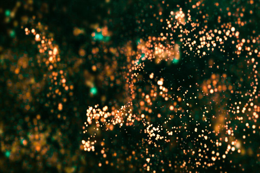 Close-up of glowing orange light particles scattered on a dark background, creating an abstract bokeh effect.