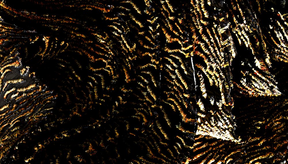 Close-up abstract textured black and gold metallic surface with intricate patterns and highlights.