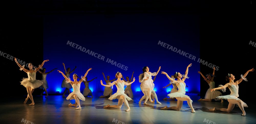 Ballet dancers perform a classical ballet on stage with blue lighting