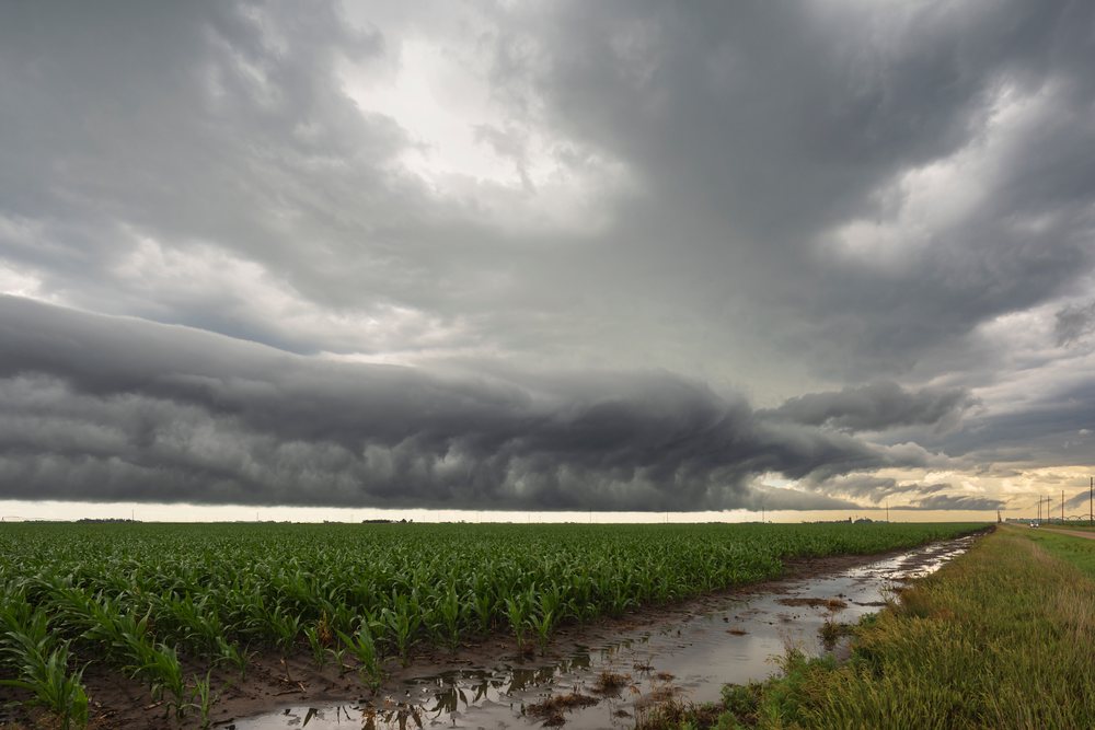 Roll cloud forming above a wet corn field and rural road, USA under stormy overcast skies, Storm Chasing, Funk, Nebraska.