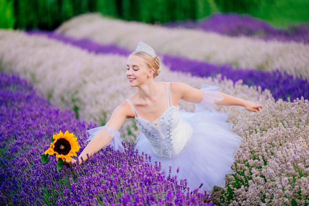 A ballerina wearing a white tutu and tiara dances smiling in a vibrant lavender field while holding a sunflower in Washington, WA, USA.