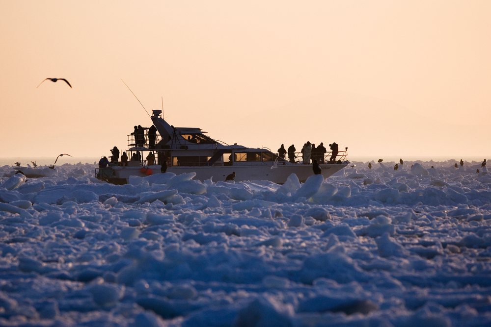 Photographers on a boat observe eagles among floating sea ice near Rausu, Hokkaido during winter, Japan, Asia.