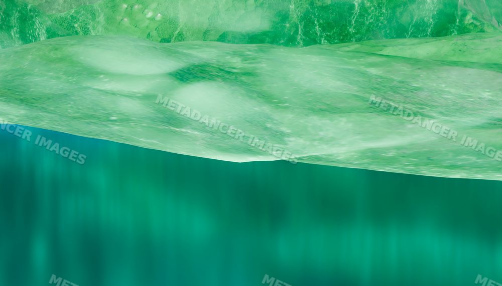 Close-up view of a vibrant green leaf