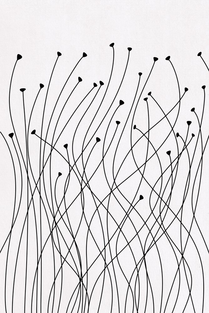 Illustration of thin black curved lines resembling stylized plant stems on a plain white background.