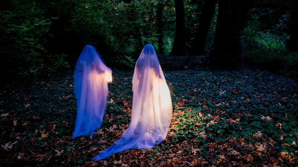 Two translucent ghost figures illuminated by glowing lights walk through a forest at night with ivy and fallen leaves on the ground, ghosts, USA.
