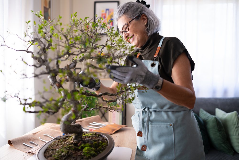 Woman with gray hair and glasses prunes a bonsai tree indoors on a wooden table in a living room with natural light, Spain.