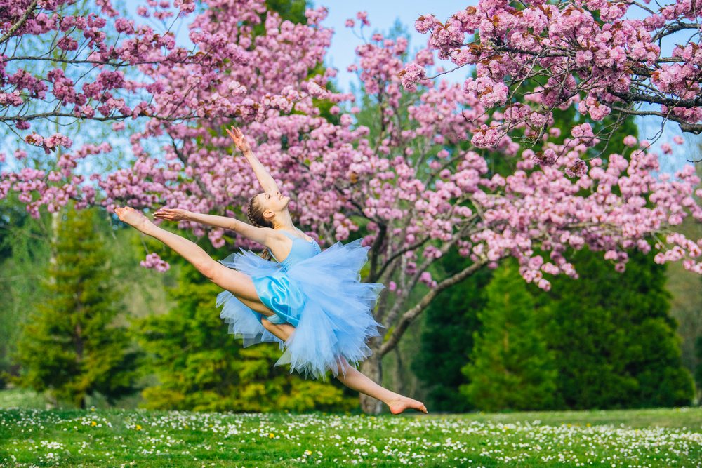 Ballerina wearing a blue tutu leaps outdoors near pink cherry blossom trees in spring, USA.